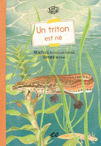 Une libellule a pondu


Association écologistes euziere naturaliste animation formations editions expertises sorties nature activités séjours camps accompagnement sensibilisation bénévolat adhésion soutien mécénat nature 
