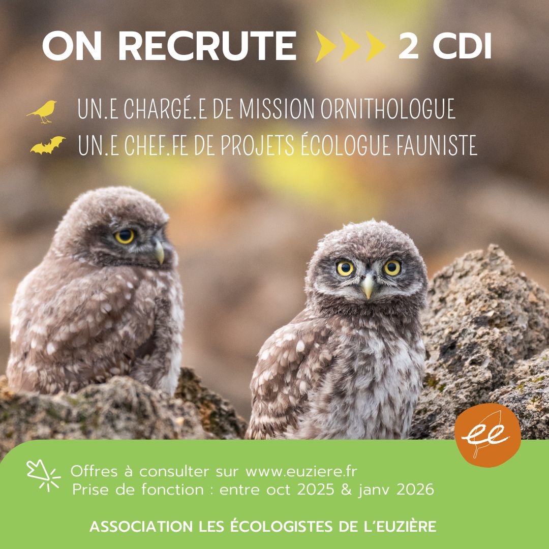 naturaliste animation formations editions expertises sorties nature activités séjours camps accompagnement sensibilisation bénévolat adhésion soutien mécénat nature