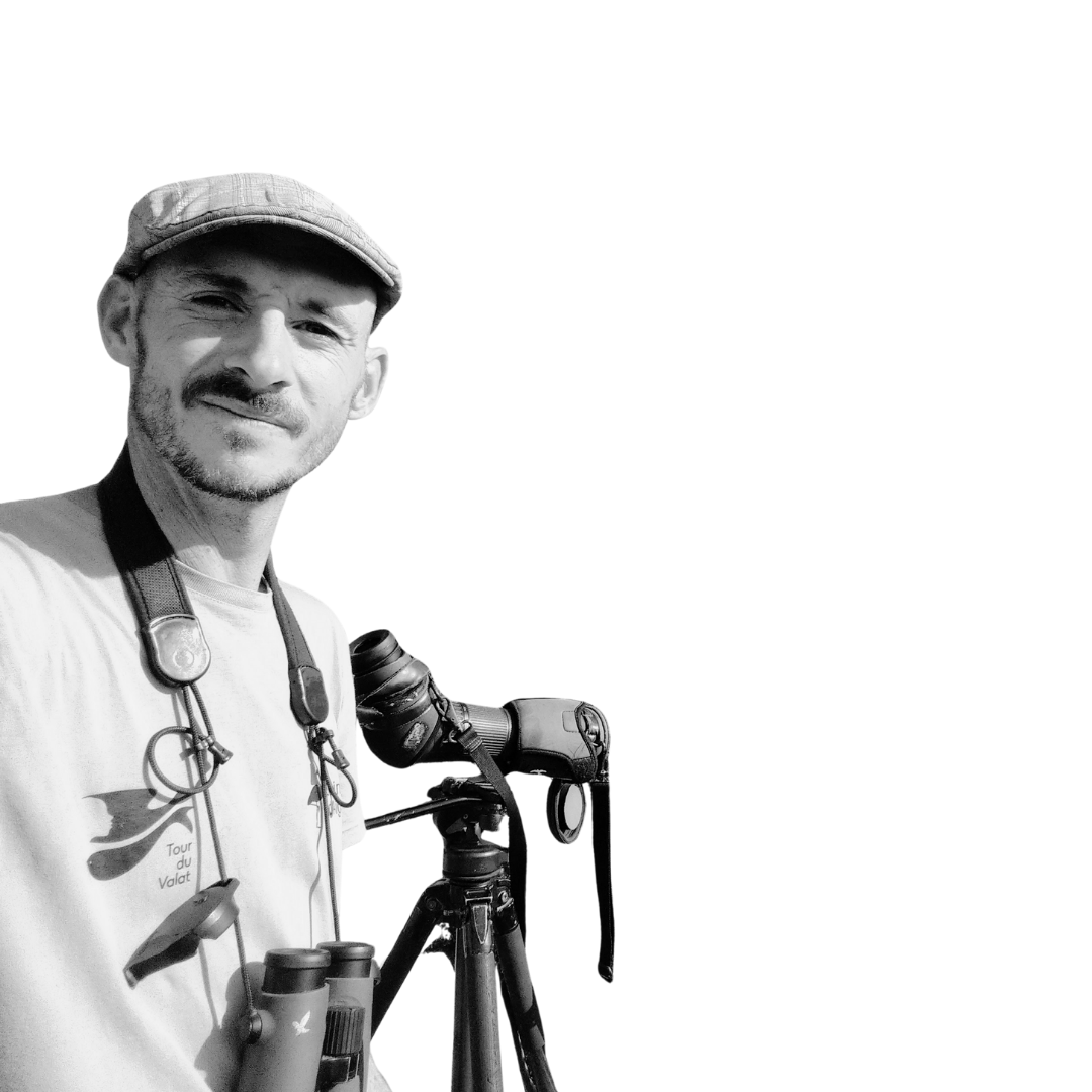 Alexis Parret 
chargé de projet entomo