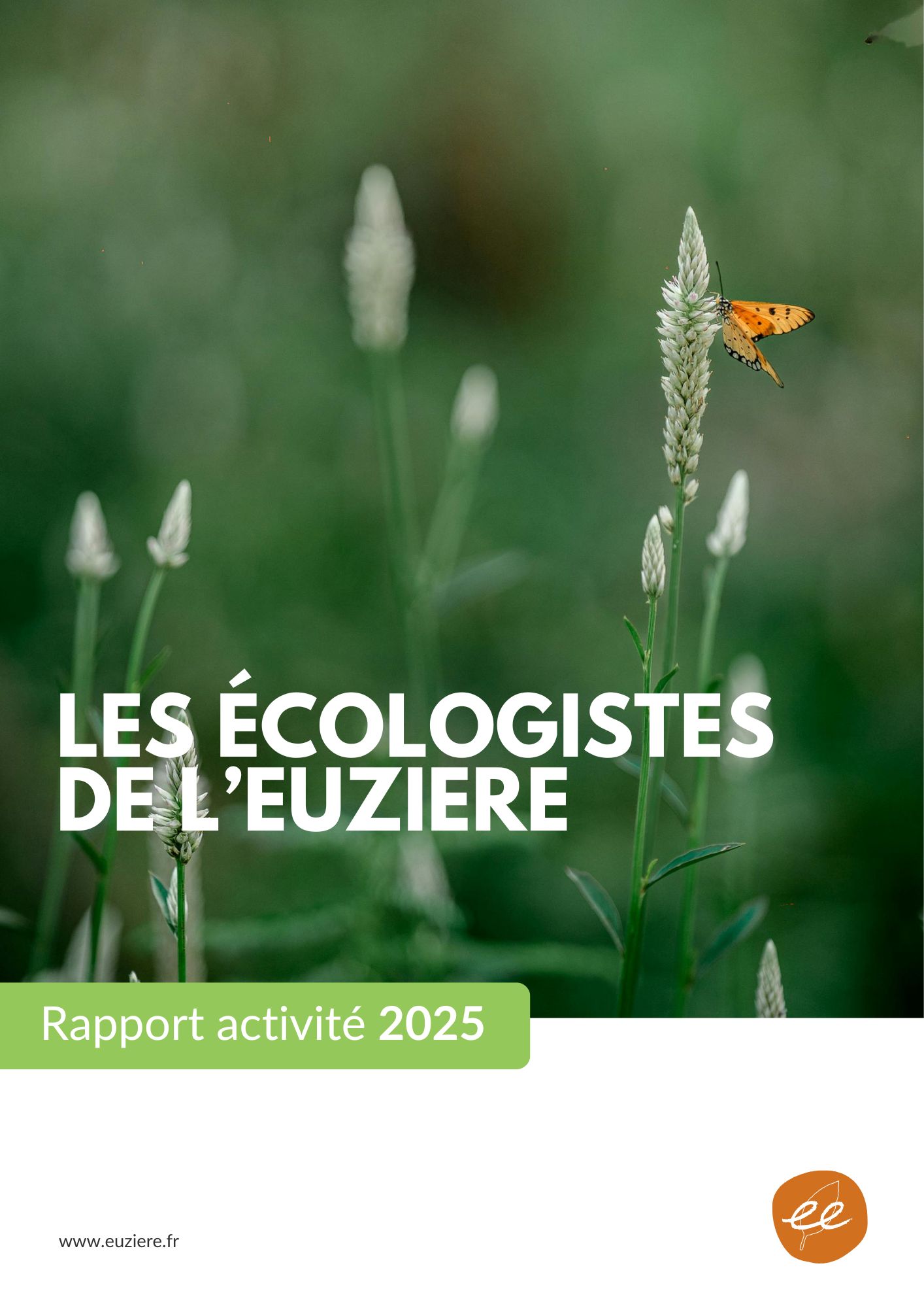 rapport activité 2023 à consulter